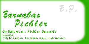 barnabas pichler business card